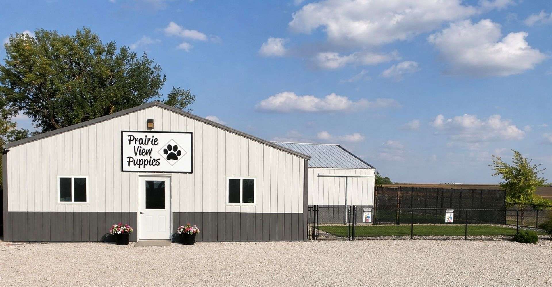 Pickup. Meet Ups, & Flight Nannies